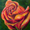 Paul-Andé Côté - Artiste Peintre : Rose du Bouquet
